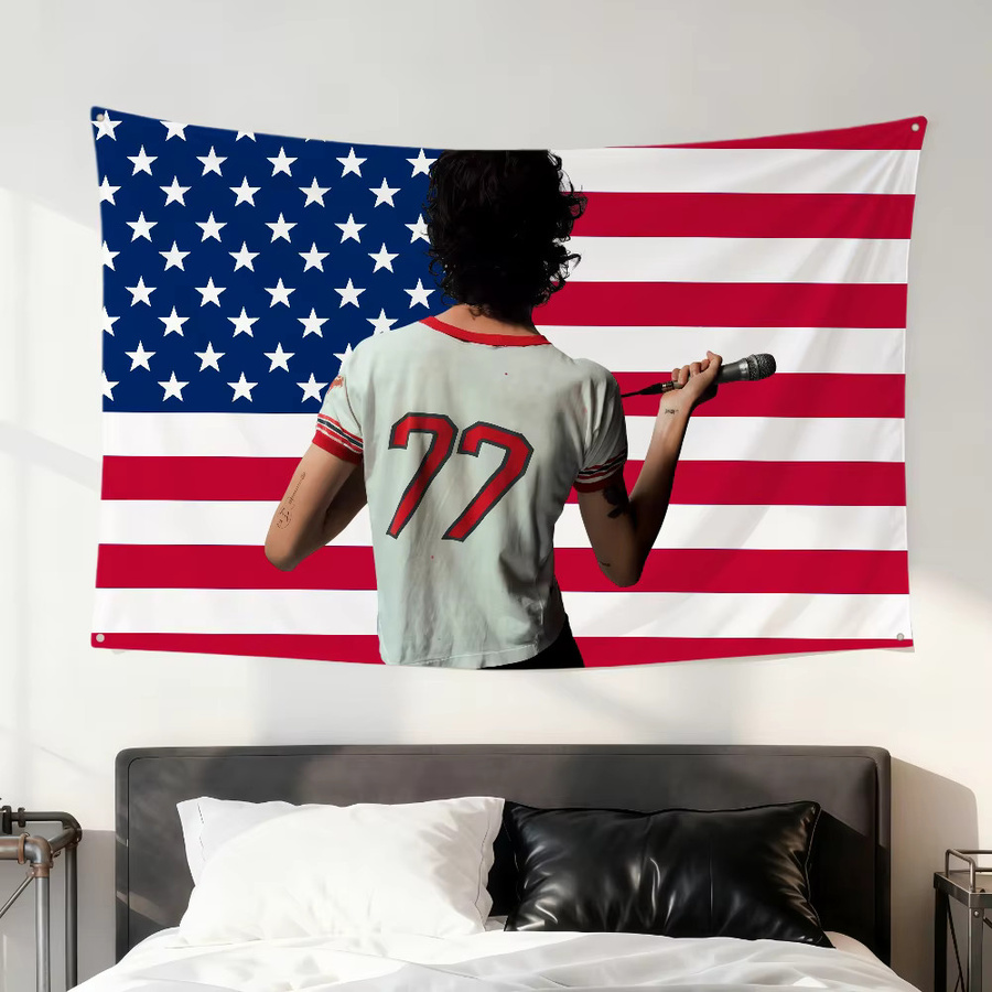 Singer Sombr Amerikanische Flagge als Wandbehang in Rosa und Rot, B/H: 60 x 40 cm - Bild 2