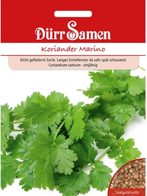 Dürr Samen Koriander Marino Saatgut 250 g - Bild 1