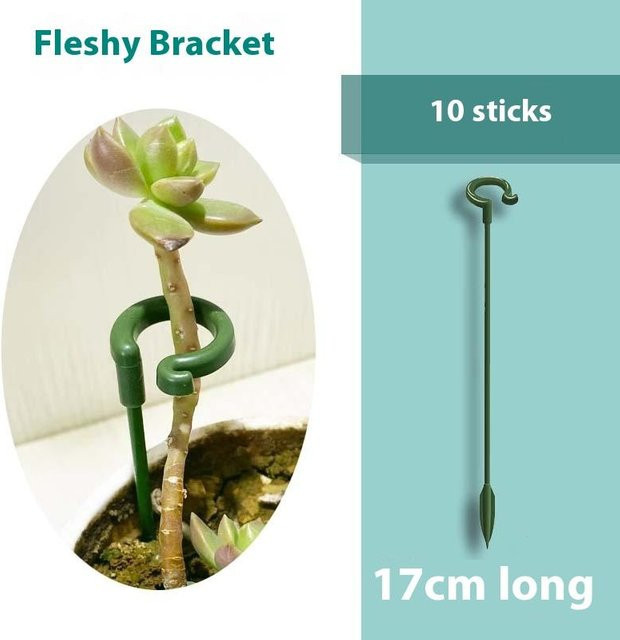 10 Stück Pflanzenstützrahmen von Yiran Furniture in Weiß zur Fixierung von Sukkulenten und Orchideen - Bild 1