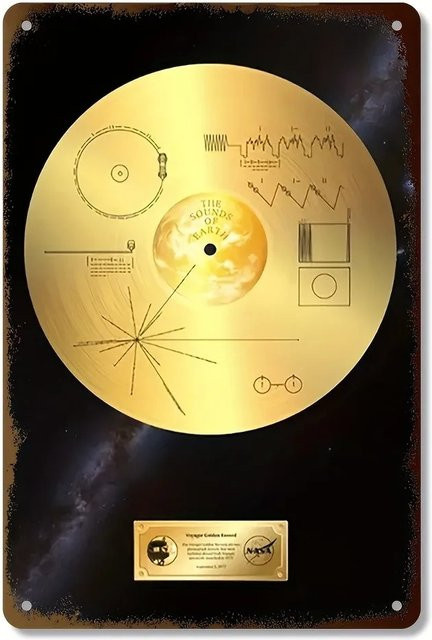 Retro Space Voyager Golden Record Metallschild von CIFBUY in Gold, B: 20,3 cm, H: 30,5 cm - Bild 1