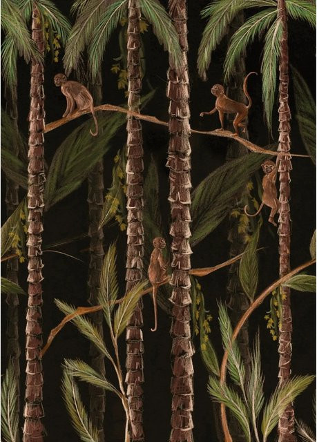 Art for the Home Fototapete Monkey Jungle in Multicolour und Schwarz, Vlies, Breite: 280 cm, Höhe: 200 cm - Bild 1