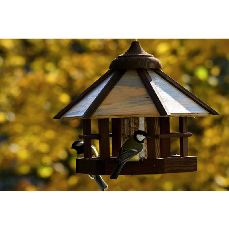 DOBAR Vogelfutterhaus für Wildvögel aus Kiefernholz und Kunststoff in Braun - Bild 2