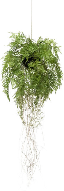 Künstlicher Hänge-Farn Jolie von Aplanta, Grün, Höhe: 35 cm - Bild 1