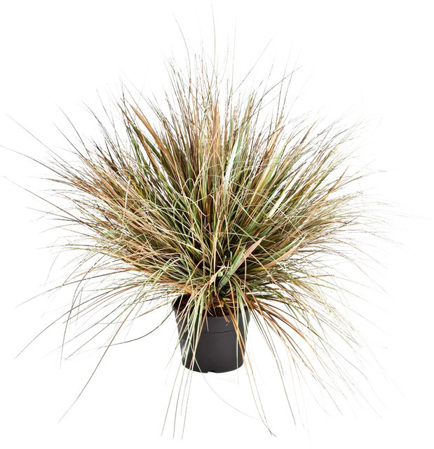 Künstliches Gras Mathilda von Aplanta, Höhe: 70 cm - Bild 1