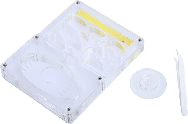 CosyHome Ameisenfarm, Acryl Transparent, Insektennest, Fütterungssystem, Ameisenbox, White - Bild 1