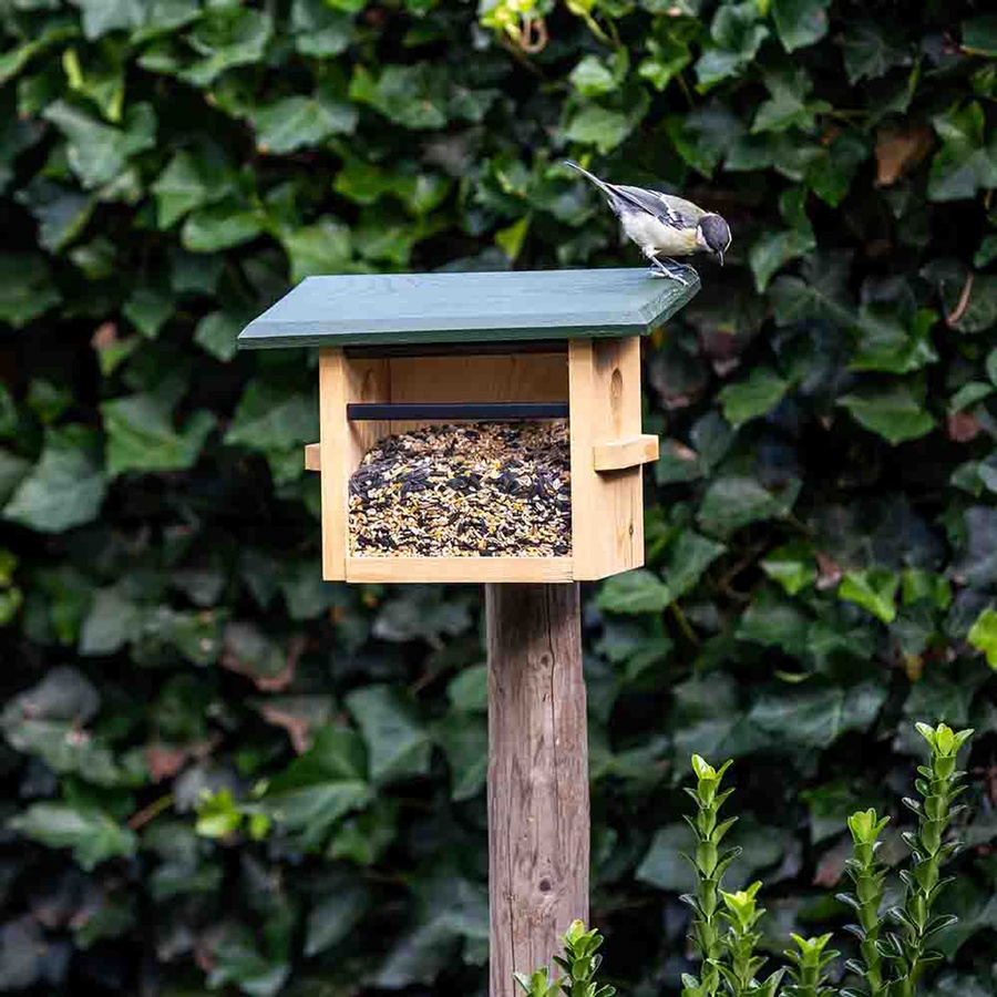 CJ Wildlife Futterhaus Tilburg für kleine Vögel mit Wandbefestigung in Grün - Bild 2