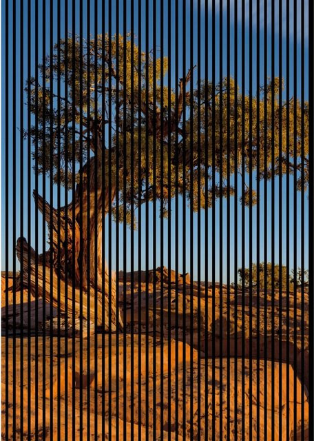 FN Acustico Akustikplatte Steppe 1 in Bunt aus PET und MDF mit Klebefolie, H x B x T: 2.400 x 1.693 x 19 mm - Bild 1