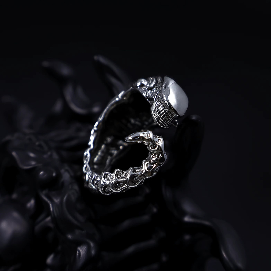 LENNIK Ring, versilbertes Kupfer, Silber, Unisex, Vintage - Bild 2