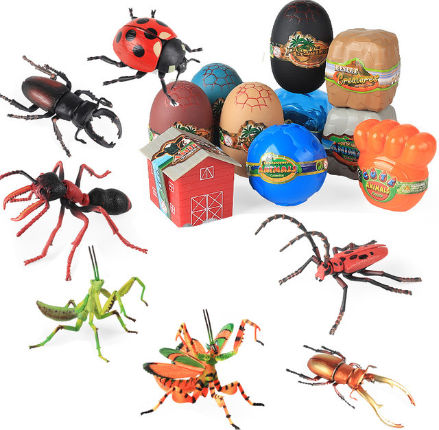 Oenux 4D Montage-Insektenmodelle, Lernset, Set / Bundle - Bild 1