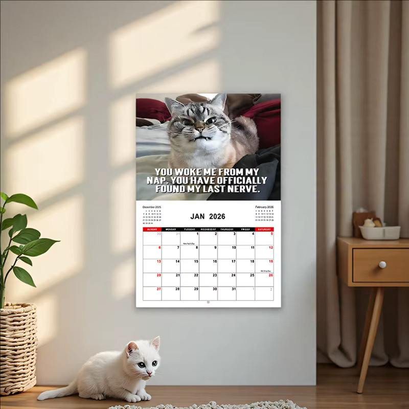 Wütender Katzenkalender 2026 für den täglichen Gebrauch mit Monatsübersicht, weiß und mehrfarbig - Bild 2