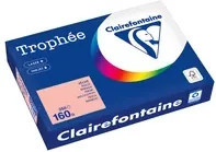 Clairefontaine Trophée Color Kopierpapier DIN A4, 160 g/m², 250 Blatt, Multicolor/Orange - Bild 1