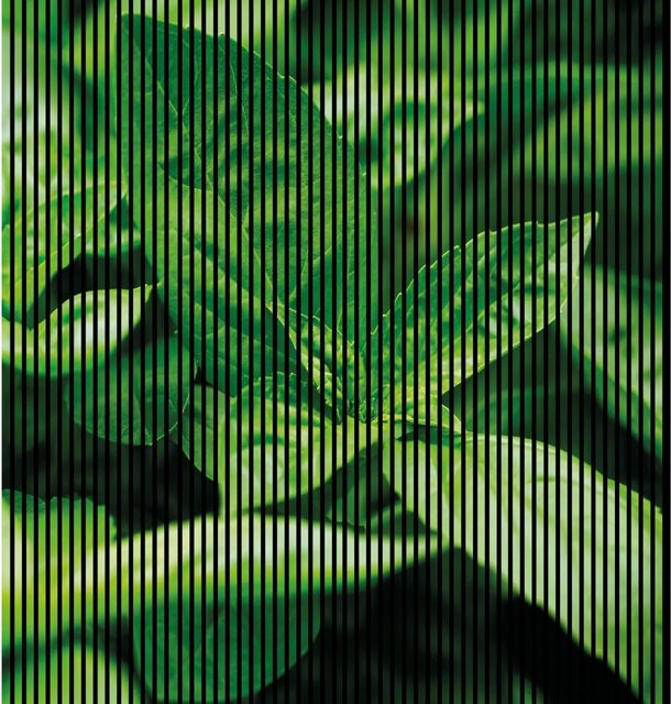 FN Acustico Akustikplatte Basilikum in modernem Design aus PET und MDF, B/H: 2.253 x 2.400 mm, Tiefe: 19 mm - Bild 1