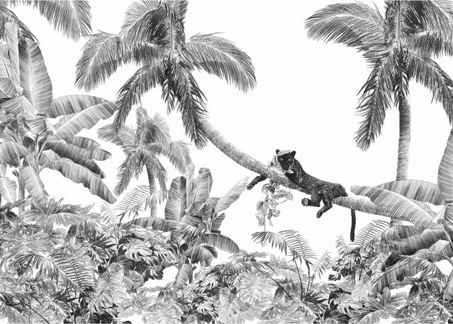 Komar Fototapete Vlies Black Panther in Schwarz, B: 350 cm, H: 250 cm - Bild 1