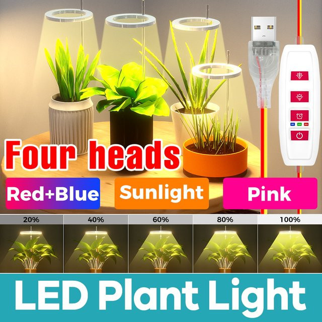 Dimmbares LED-Pflanzenwachstumslicht mit Vollspektrum und Timer für Kaktusblumen und Sukkulenten via USB 5 V - Bild 1