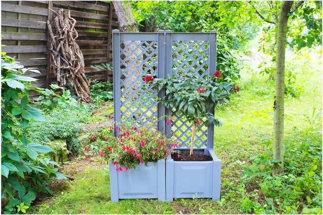 KHW Pflanzkasten mit Spalier 2er-Set in Grau - Bild 1