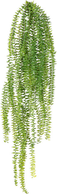Künstliche Hängepflanze Elias von Aplanta, Grüner Schildfarn, Höhe: 70 cm - Bild 1