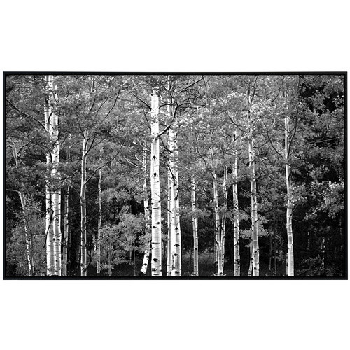 papermoon EcoHeat Infrarotheizung Wald Schwarz Weiss mit Matt-Effekt und App-Steuerung - Bild 2