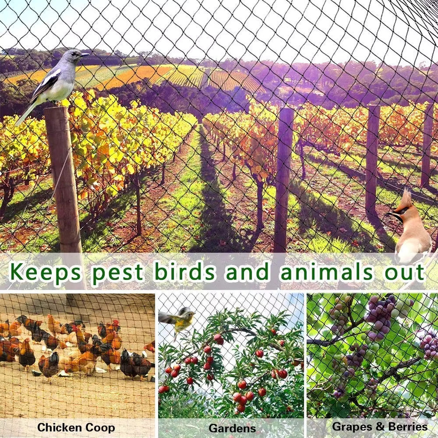 Vogelnetz als Schutznetz für deinen Garten, Gemüse und Pflanzen - Bild 4