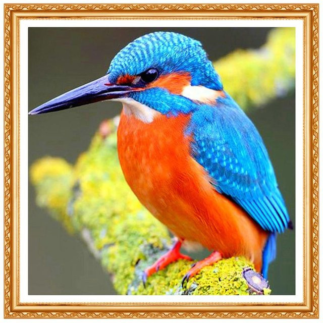 FIYO 3D DIY Diamantstickerei Eisvogel mit runden Diamanten in Blau und Multicolour, Breite: 20 cm, Höhe: 30 cm - Bild 1