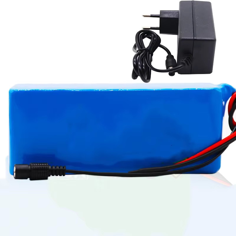 Reoaoone 12 V 50000 mAh Lithium-Ionen-Akkupack mit BMS und 12,6 V Ladegerät in Blau - Bild 4