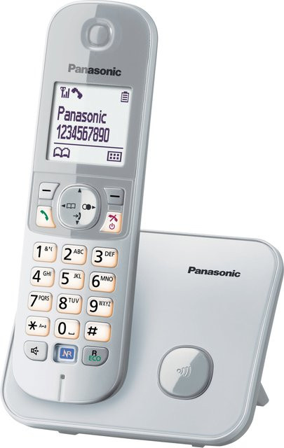 Panasonic KX-TG6811 DECT Schnurloses Telefon in Silber und Grau - Bild 1