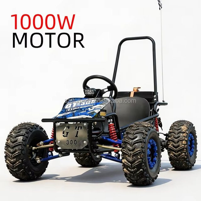 XMSJ Elektrische Go-Karts, Quad-Bike, 1000W, Metall - Bild 1