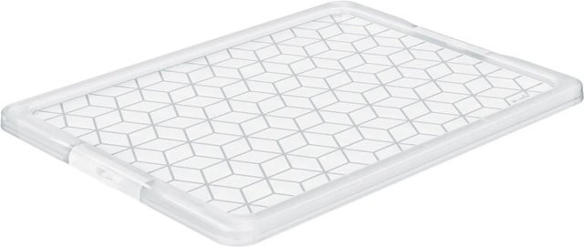 Rotho Deckel Evo Easy für 140 Box in Transparent - Bild 1