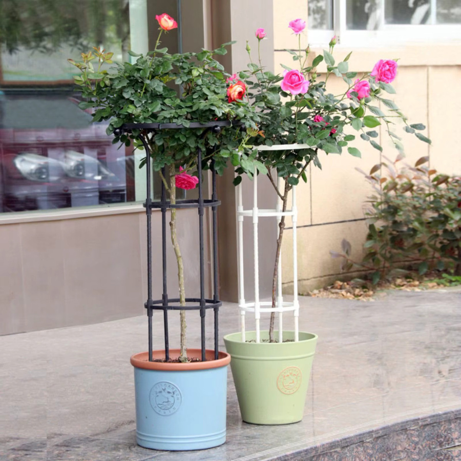 HiMISS Garten-Rundspalier aus Stahl als vertikale Kletterpflanzen-Stützstruktur und Schirmspalier-Turm - Bild 5