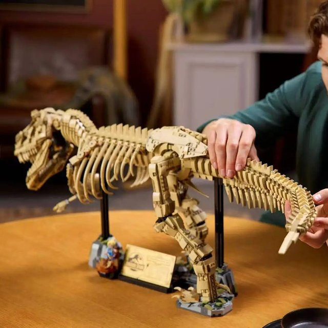Potdemiel Dinosaurier T-Rex Fossilien Tyrannosaurus Rex, Baukasten - Bild 1