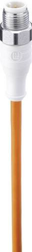 Belden Sensor-Aktor-Steckverbinder M12 Stecker gerade, 5 Pol, orange, 5,00 m - Bild 1