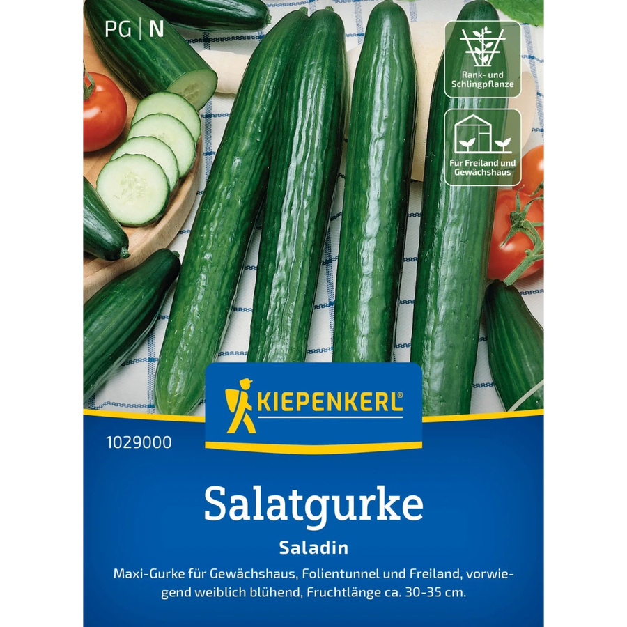 Kiepenkerl Salatgurke Saladin Gemüsesamen grün - Bild 2