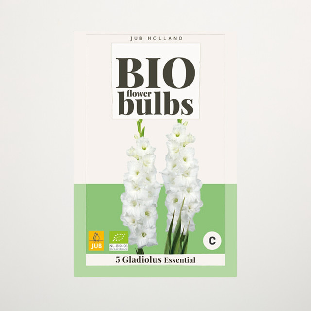 BIO Gladiole Essential Knollen für Gartenbeete und Kübel, 5 Stück - Bild 1