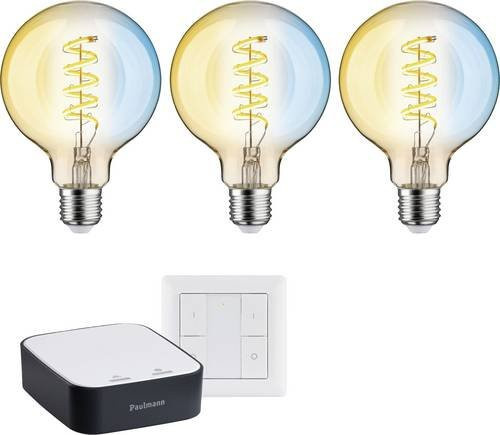 Paulmann Home Starterkit Beleuchtung E27 mit Zigbee Bridge und Controller, LED Wandleuchte in Retro-Design, Transparent/Silber - Bild 1
