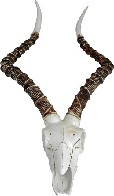 DELUKE Impalakopf GEO Wanddekoration Weiß aus Polyresin, B/T/H: 11,5 x 33 x 68 cm - Bild 1