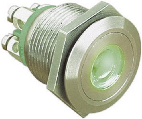 Bulgin Vandalismusgeschützter Drucktaster MPI001/TERM/GN, 24 V/DC, 0.05A, 1 x Aus/(Ein) tastend, Grün, Durchmesser: 22 mm - Bild 1