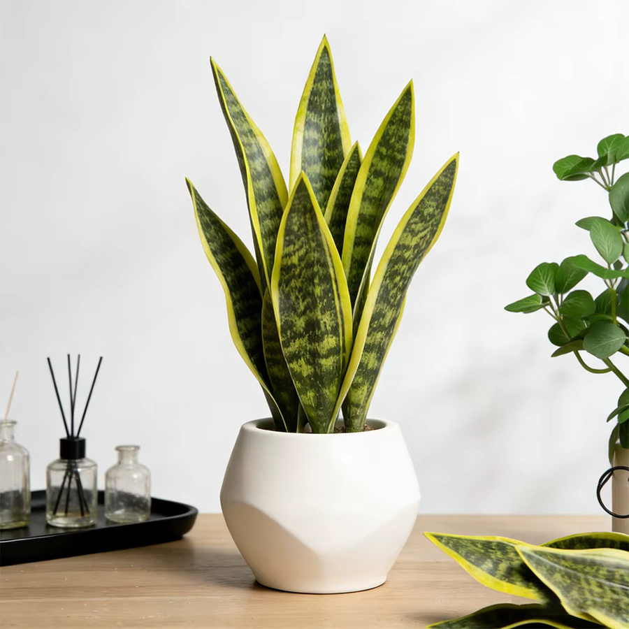 Künstliche Sukkulente Kmitang Sansevieria in Grün, Topfpflanze aus Kunststoff für Zuhause und Büro, Höhe: 37 cm, Breite: 32 cm, Tiefe: 31 cm - Bild 2