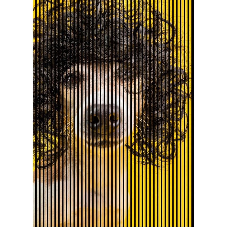 FN Acustico Akustikplatte Dog 2 in Bunt aus PET und MDF mit Klebefolie, H x B x T: 2.400 x 1.693 x 19 mm - Bild 2