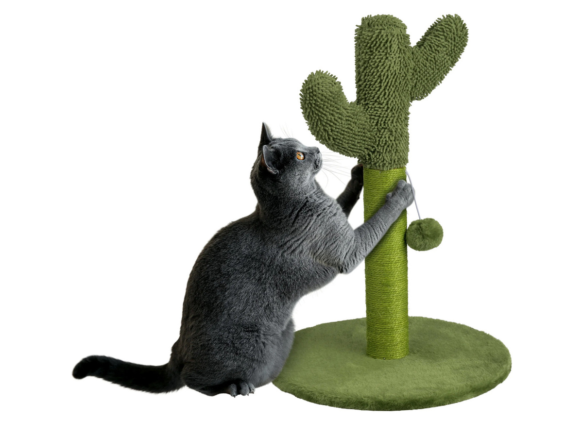 ZOOFARI Katzen-Kratzbaum Kaktus in Grün mit integriertem Spielzeug - Bild 2