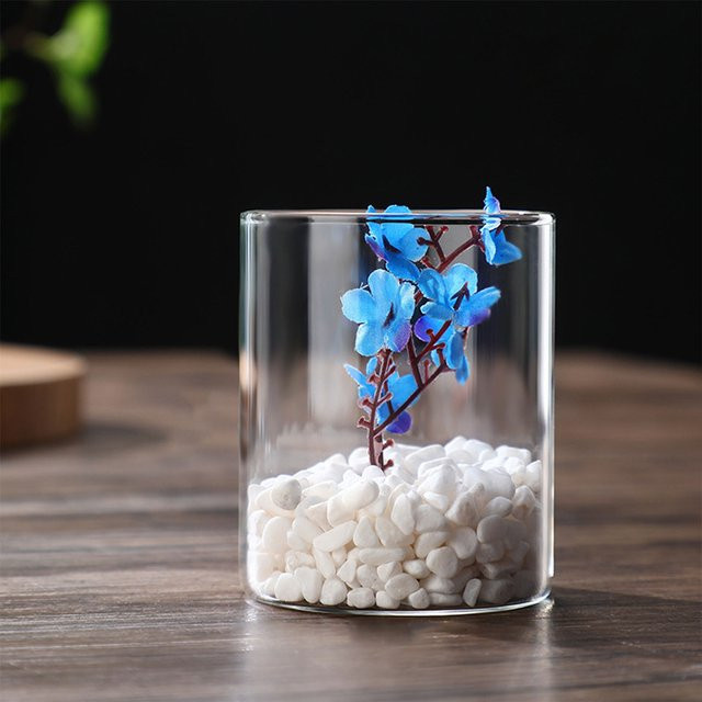 Moderne hydroponische Zylinder-Blumenvase aus Glas in Transparent für Home Office und Hochzeitsdekoration, Höhe: 10,0 cm, Durchmesser: 5,5 cm - Bild 1