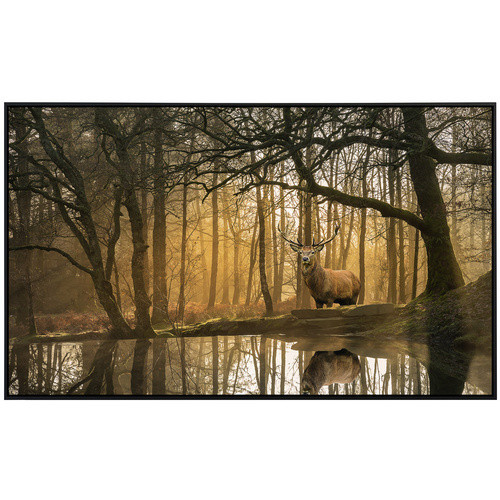 papermoon EcoHeat Infrarotheizung Hirsch im Wald mit Matt-Effekt in Bunt, App-Steuerung und Überhitzungsschutz - Bild 2