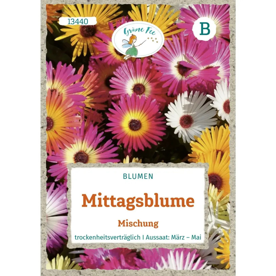 Grüne Fee Mittagsblume Mischung Saatgut für Beeteinfassungen und Steingärten - Bild 2