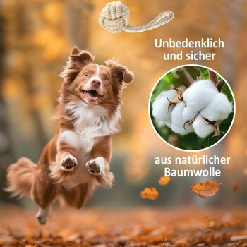 ROMNEYS Tauball mit Seil - Bild 2