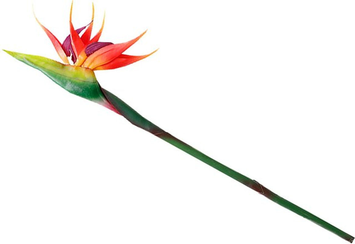 Künstliche Paradiesvogelblume von mfySpace in Rot als dekorative Kunstpflanze für den Innenbereich - Bild 1