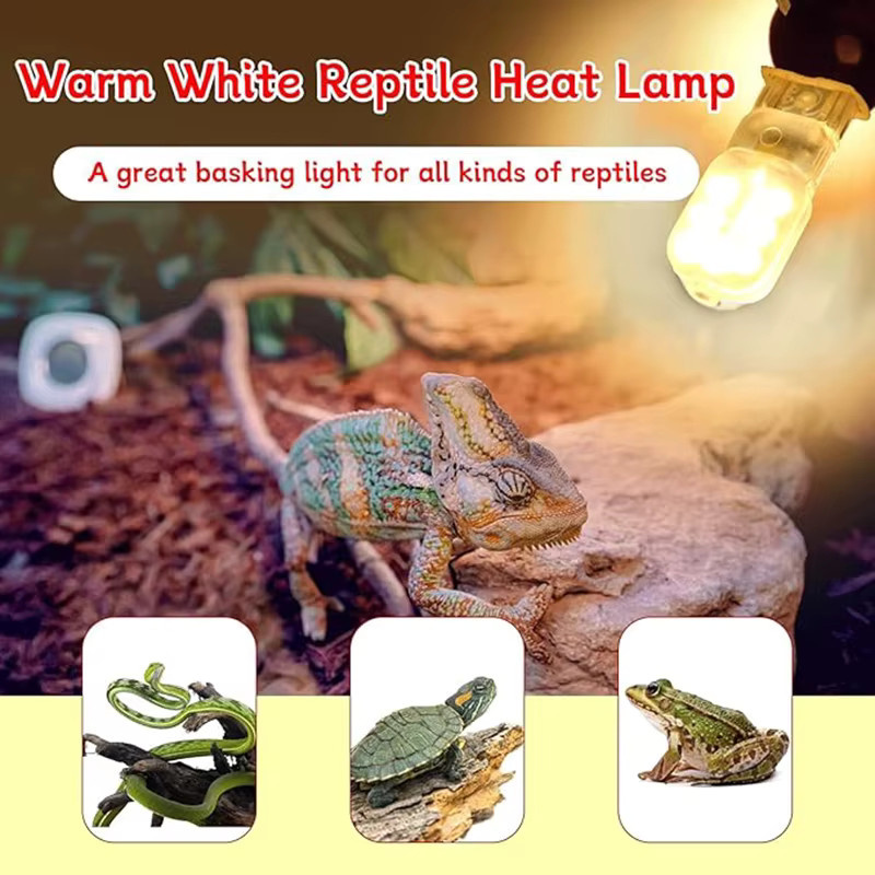 G9 Halogen-Wärmelampen für Reptilien, Warmweiß mit UVA, transparente Glaslampen für Bartagamen, Schildkröten und Eidechsen - Bild 3