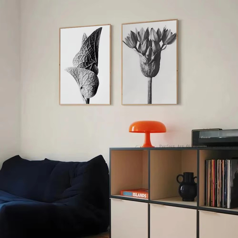 Karl Blossfeldt Vintage Pflanze Poster mit floraler Skizze aus Papier - Bild 4