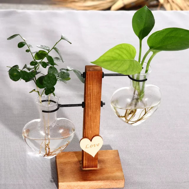 Vintage Hydrokultur Vase aus Glas in Transparent für Desktop-Pflanzen und Terrarium-Vermehrungsstationen - Bild 1
