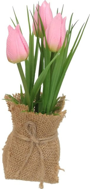 Boltze Topfpflanze Tulip in Pink, Weiß und Gelb für den Frühling, Höhe: 19 cm - Bild 1