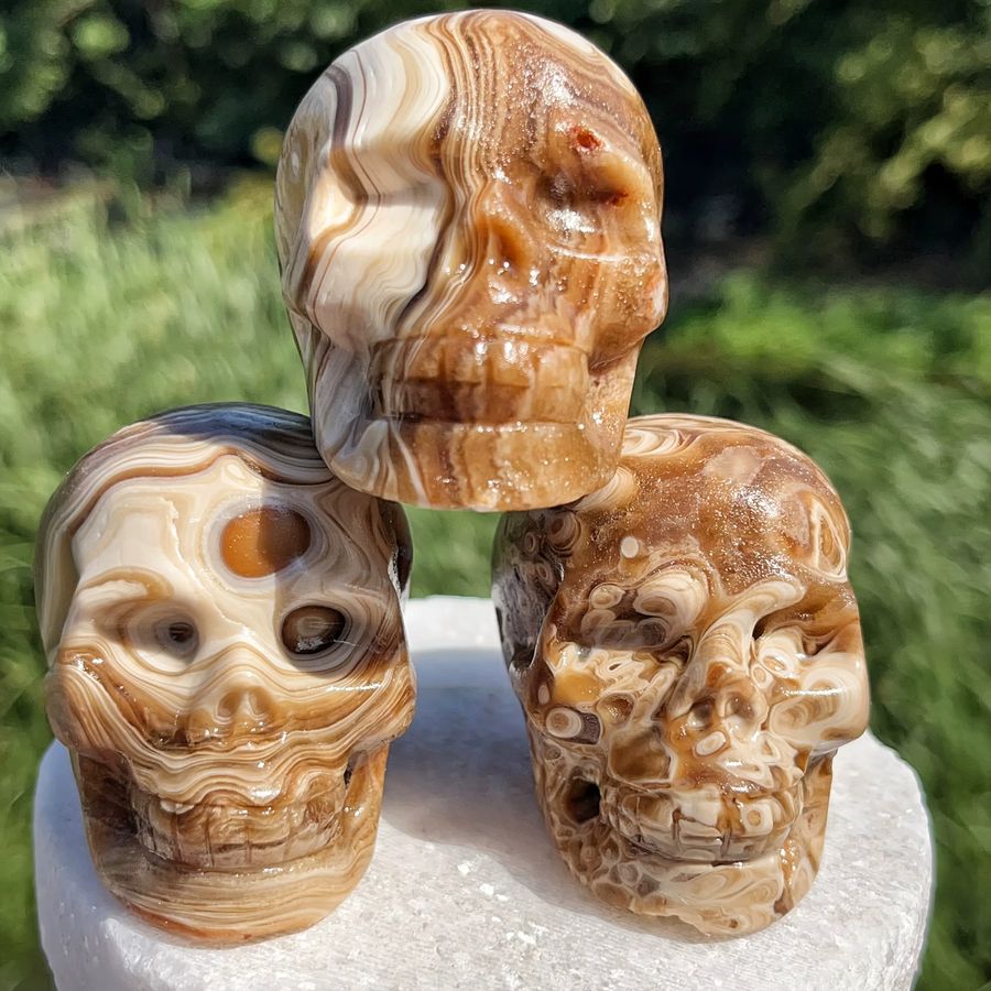 CRYSTALHOLA Natürlicher Schokoladenstein-Schädel mit Bernsteinband als 3D-geschnitzte Dekoration - Bild 4