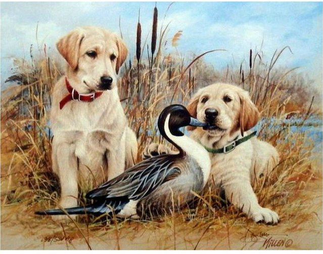 FIYO DIY 5D Volldiamant Gemälde Hund und Wildente als Kreuzstich-Stickerei in Multicolour, Breite: 30 cm, Höhe: 20 cm - Bild 1