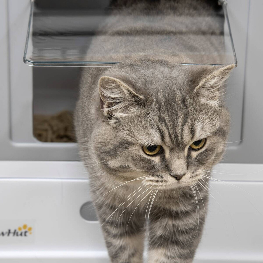 PawHut Katzentoilette mit ausziehbarer Schublade und Bodenschale in Weiss und Grau, B/H/L: 35,5 x 47,5 x 36,7 cm - Bild 3